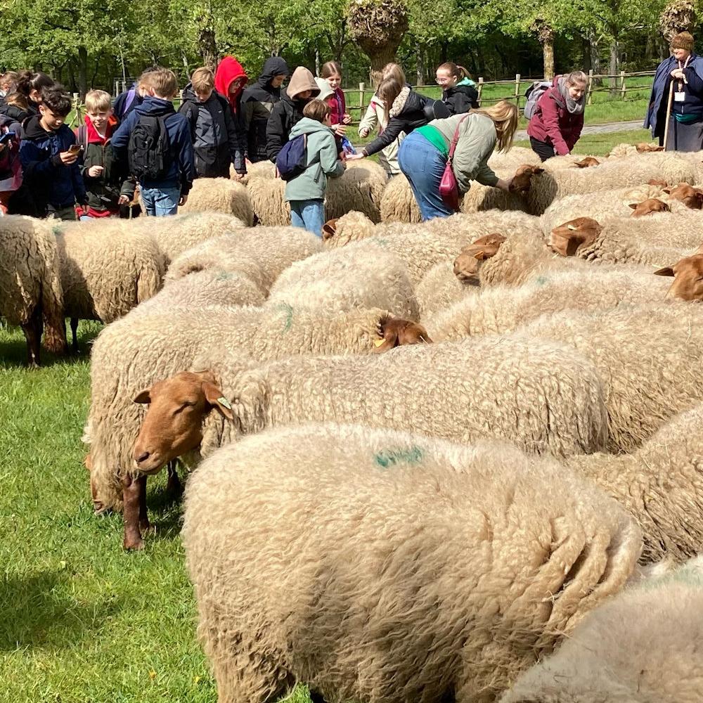 UITSTAP VORMELINGEN PAROCHIE SINT-AUGUSTINUS NAAR BOKRIJK OP 21 APRIL LL.