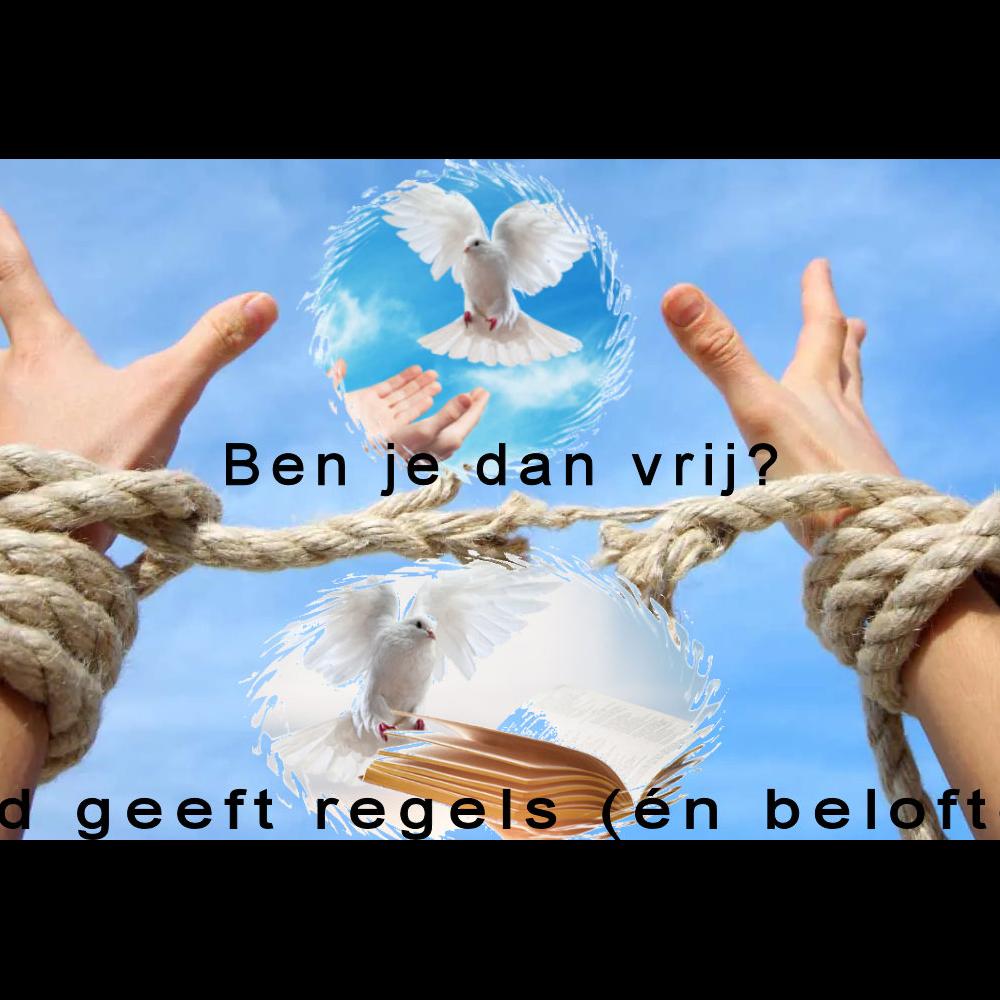 Vrijheid, wat is dat ?