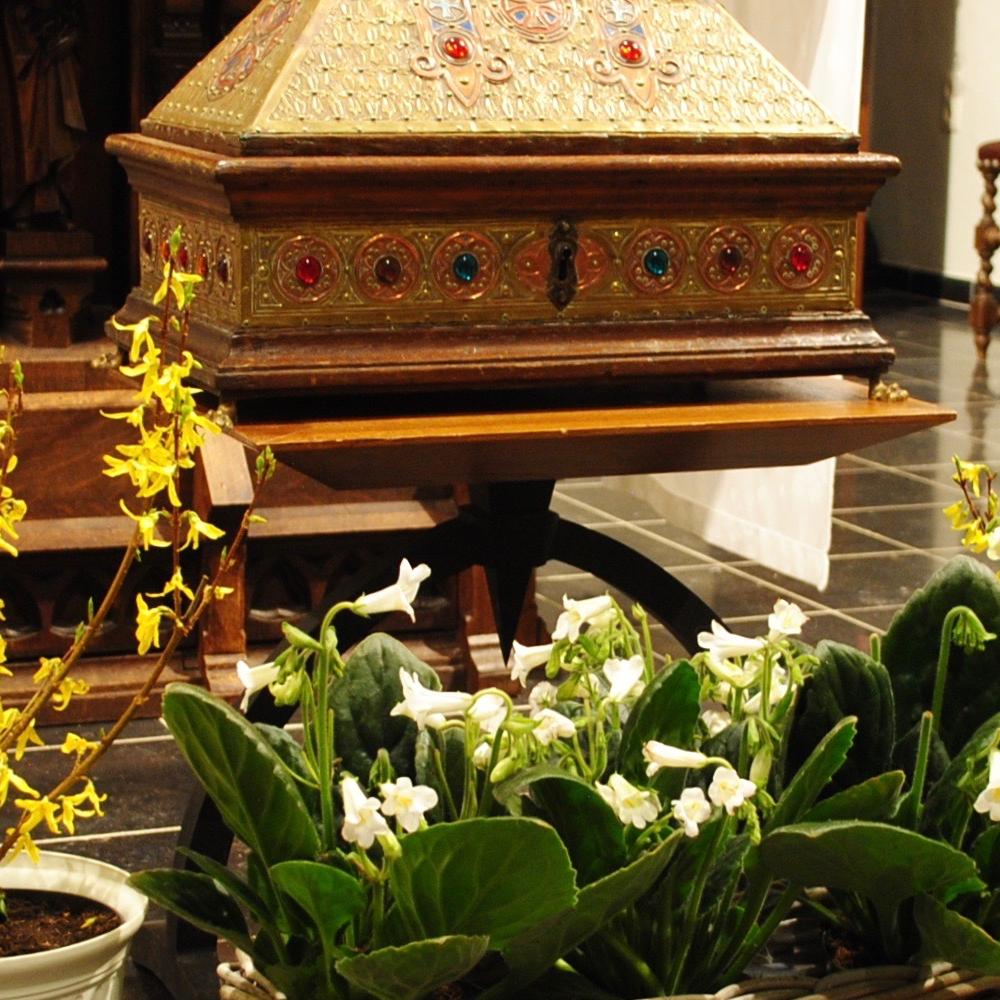 OCTAAF VAN SINT HYMELINUS VISSENAKEN